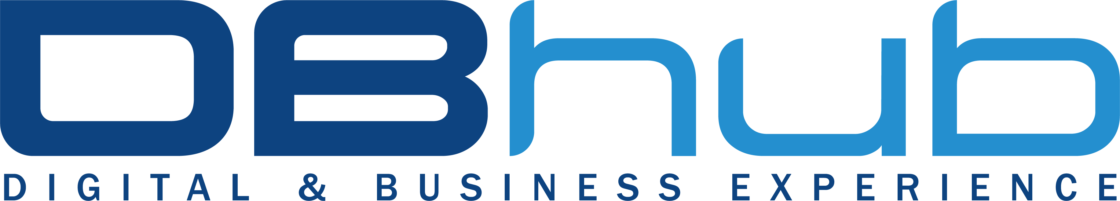 DBhub